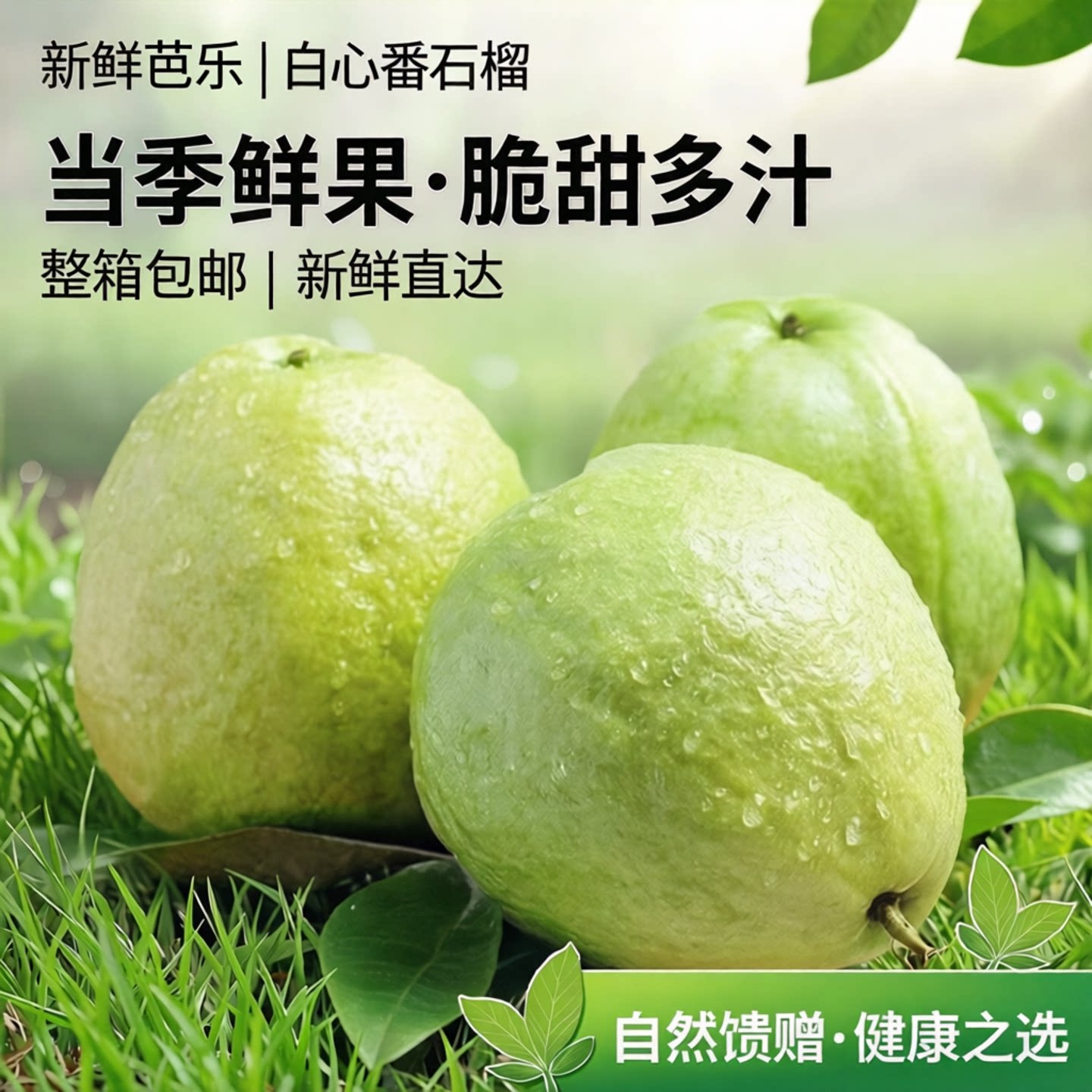 新鲜芭乐白心番石榴水果新鲜包邮芭乐水果新鲜包邮水果整箱芭乐果
