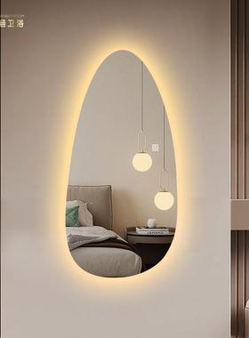 异12167形不规则LED化灯试衣镜全身镜穿衣镜带子家用玄创意妆关