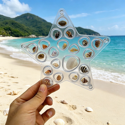 天然迷你小海螺贝壳海星高透亚克力收纳盒材料微贝沙标本海边礼物