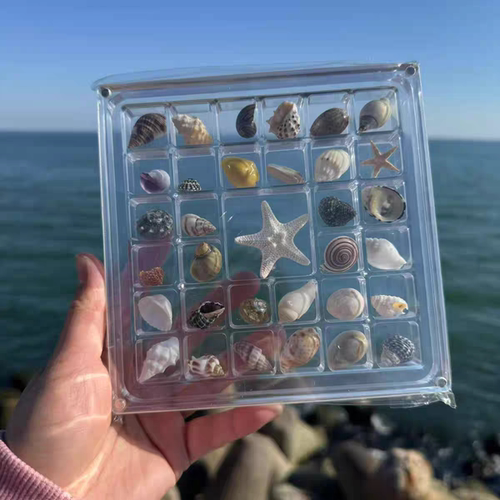 天然迷你小海螺贝壳海星高透亚克力收纳盒材料微贝沙标本海边礼物