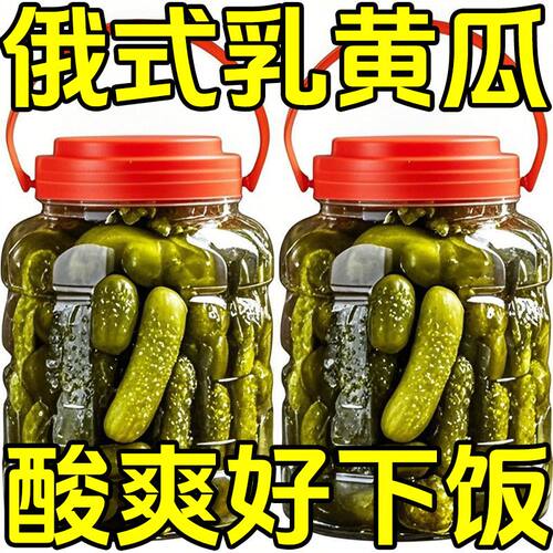 俄式酸黄瓜俄罗斯风味酸黄瓜商用俄式乳黄瓜脆爽解腻开胃滋补凉茶