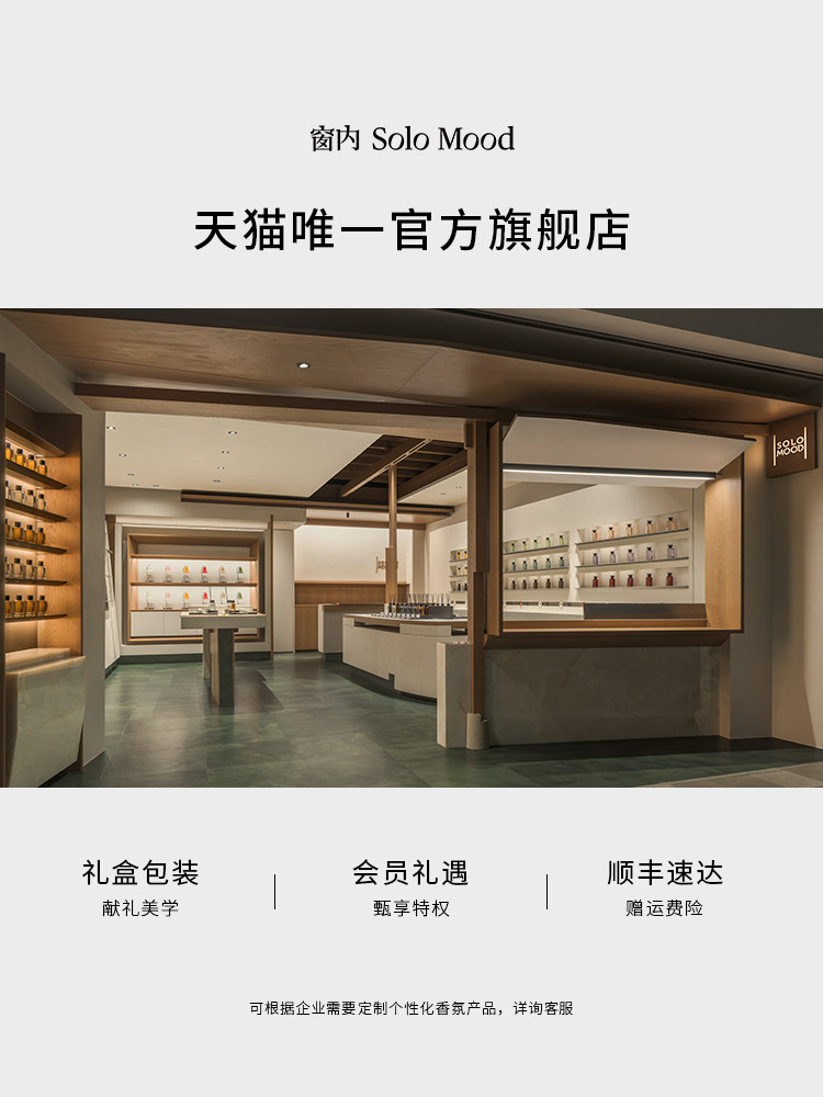 Holiday Gift Solomood 2024 Fireless Indoor Fragrance - Product image 5