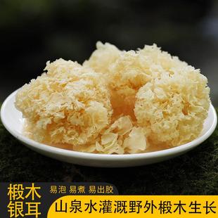 古田椴木小银耳干货雪耳孕妇出胶糯耳非特级野生小朵无硫白木耳