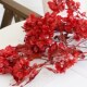 迎客豆年宵花过年插花干花花束客厅摆设婚庆花材高端真花永生花