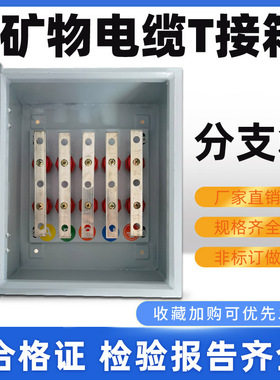 bttrz国标矿物电缆分支箱电缆T接箱低压分支转换箱JXT1电缆接线箱