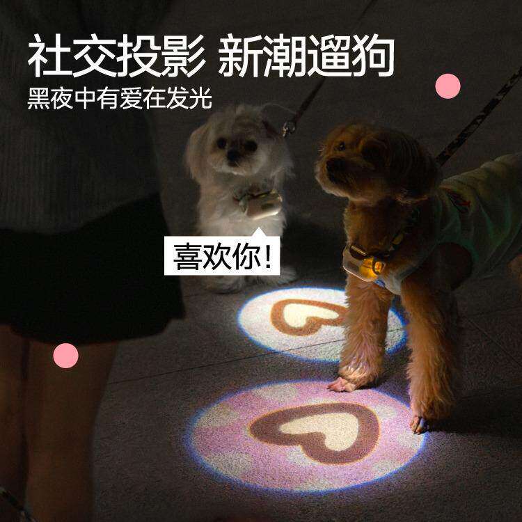 宠物社交投影灯遛狗夜行