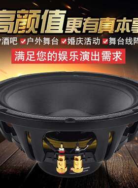 10寸台12寸功率扬铷磁低音大线阵舞中低音NMD全频声器