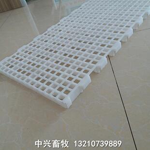 塑料漏粪板 鸡场漏粪板鸭舍大孔漏粪网床