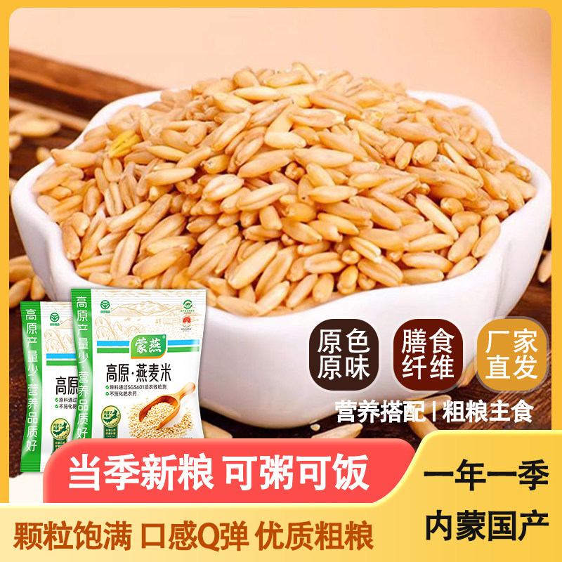 内蒙古高原全胚芽燕麦米原粒燕麦五谷杂粮燕麦胚芽米新粗粮燕麦米