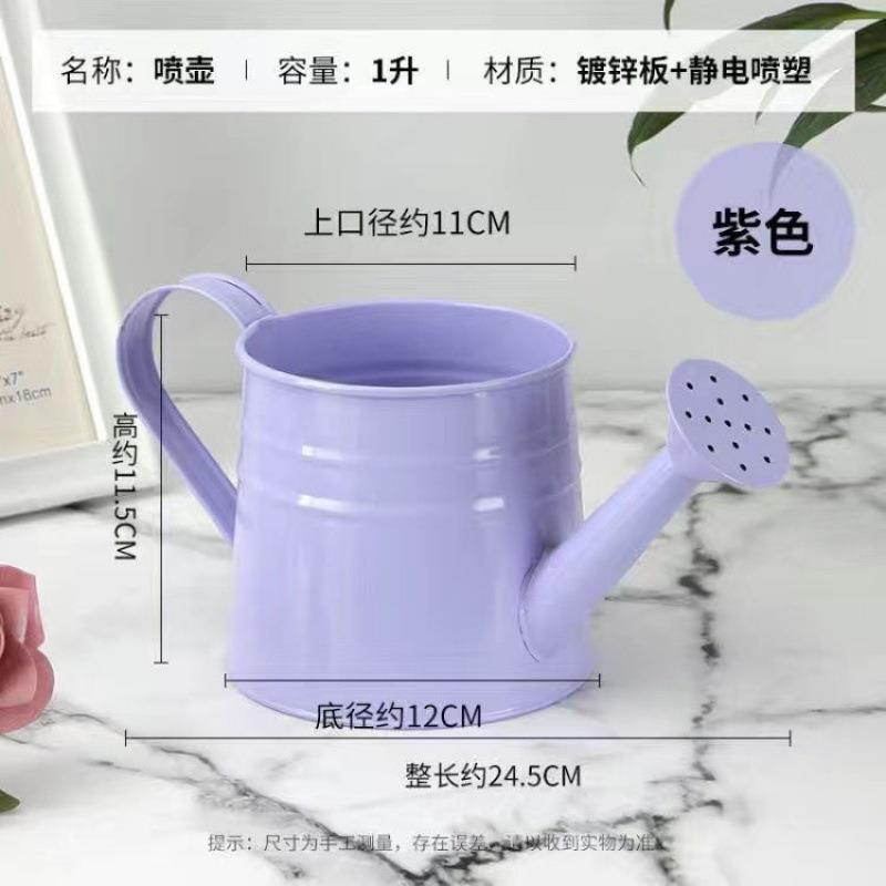 洒水壶铁艺浇花喷壶盆栽浇水壶多彩1升喷水壶园艺养花装饰盆儿童