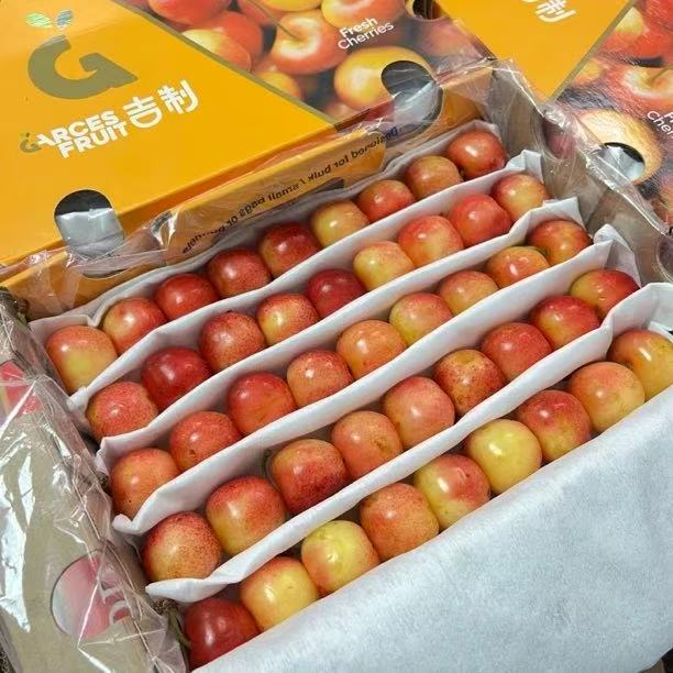 智利空运4J雷尼尔黄金车厘子顺丰