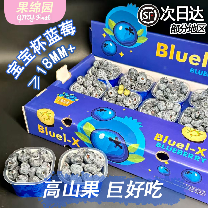 秘鲁进口宝宝杯蓝莓小懒杯特大果新鲜礼盒脆甜花香带天然果酸顺丰