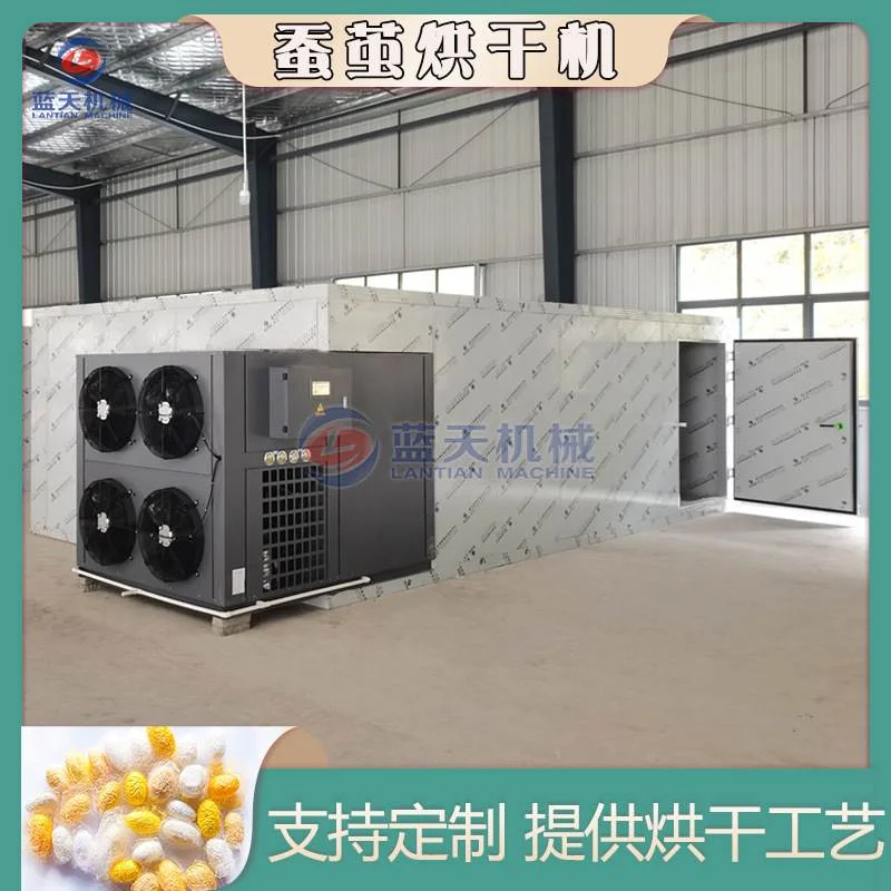 蚕茧烘干机 智能控温彩色蚕茧烘干箱 蚕衣茧黄蚕茧壳除湿烘干设备