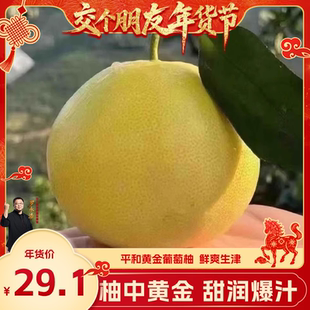 爆汁黄金葡萄柚子平和应季水果福建平和4.5斤
