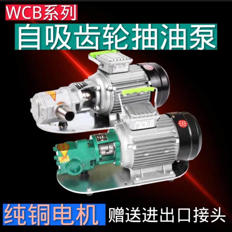 WCB齿轮油泵不锈钢电动抽油泵高粘度柴油食用油机油液压油耐高温,家庭/个人清洁工具,其他焗油用品,淘宝优惠券,粉丝福利购,淘宝优惠卷
