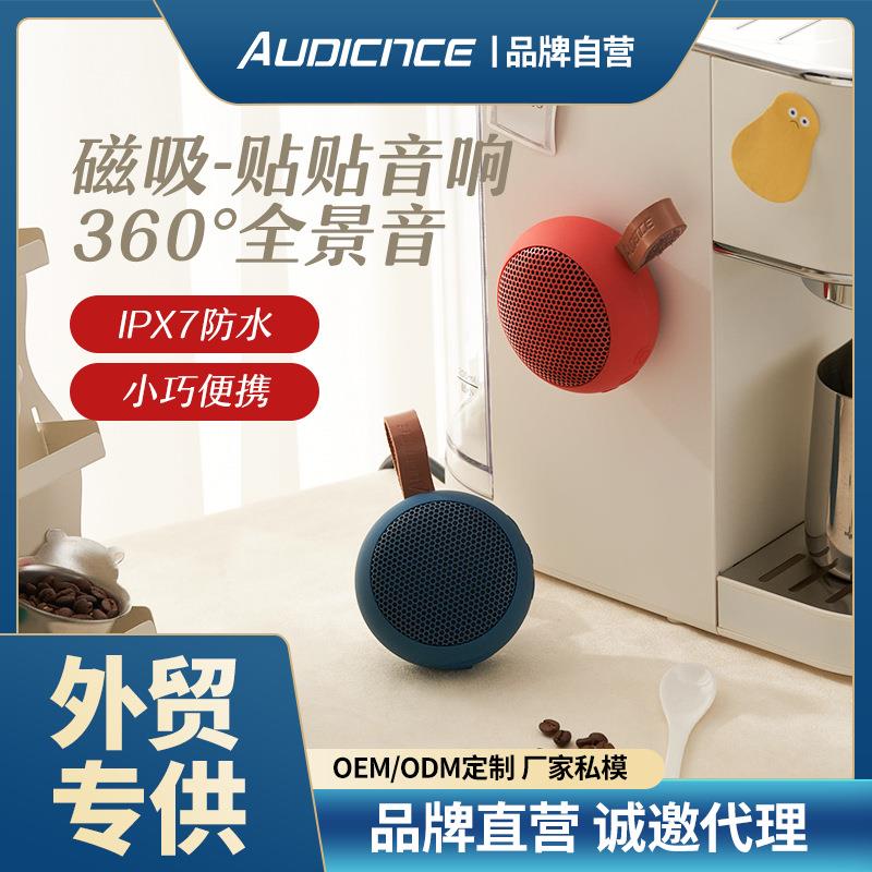 audience B-10歐德恩藍(lán)牙音箱Y6便攜式無線迷你磁吸小音響戶外防