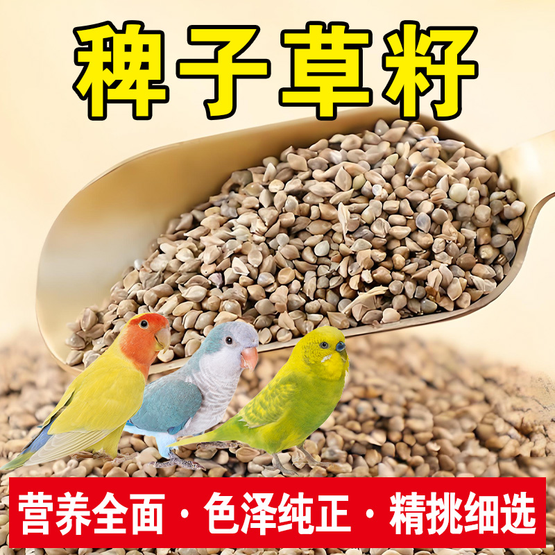 草籽天然草籽玄凤虎皮牡丹鹦鹉