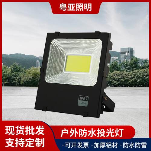 5054黑金刚投光灯红光足功率100W防水泛光灯户外工程led投光灯