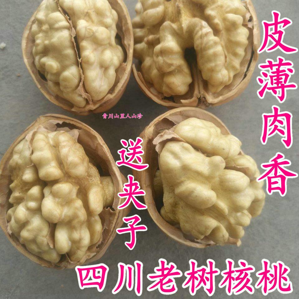 新货 四川广元朝天农家老树薄皮干核桃 本色原味孕妇儿童黑桃