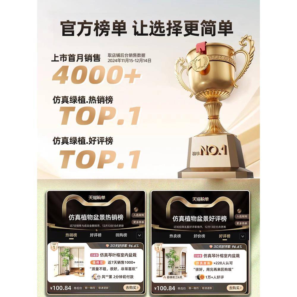 孔雀木模绿色植拟物高雅接近豪华室内易客厅装饰装饰品地板站立彷