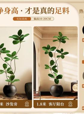 假绿植植装饰仿真落室内盆栽地大型摆件客厅HJG-QT-0轻奢防真绿色