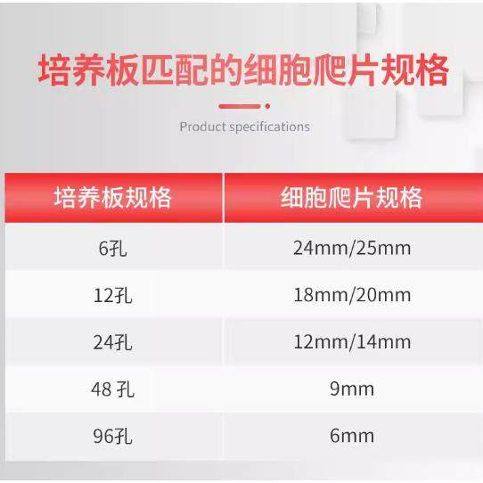 世细胞爬片泰ZRU显微镜圆形盖无玻片圆片超白玻璃洗菌无酶免TC处
