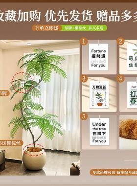 仿真楹绿植蓝花室内盆LHY-DD-0栽仿生植物假型树客厅落地摆件轻奢