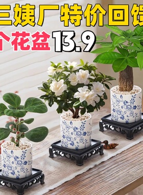 桌面迷你小花盆陶瓷清仓种植盆