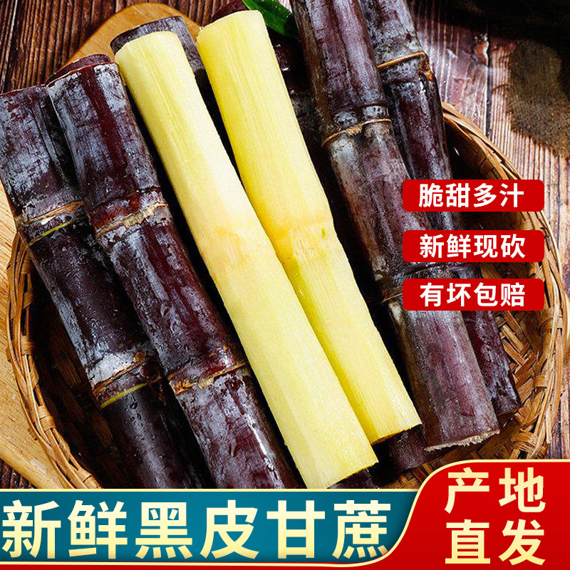 正宗广西精选黑皮甘蔗  新鲜现砍脆皮甘蔗甜杆果蔗干 脆甜多汁