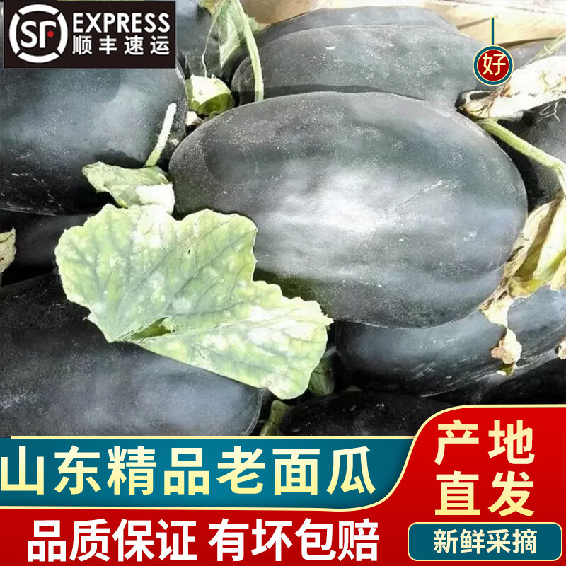 山东老面瓜黑皮花皮面瓜黄皮香瓜微甜水果噎人老面瓜老人孩子