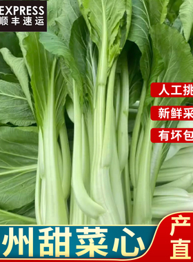 正宗连州新鲜菜心9斤装 顺丰 新鲜现摘甜菜心青菜清甜爽脆迟菜心