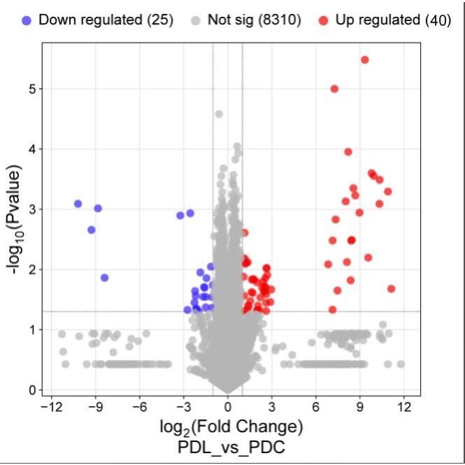 医学生信分析TCGA GEO数据挖掘1-8分转录组学测序单项整体服务