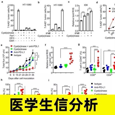 DNA甲基化测序数据分析 医学医生科研生物信息生信服务聚类相关性