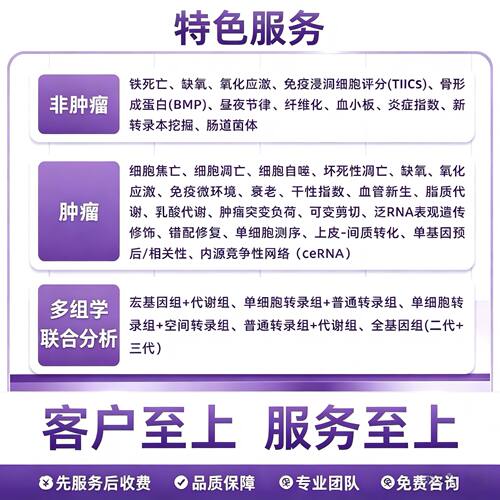 生信分析空间转录组服务geo数据挖掘单细胞GBD数据分析网络药理学