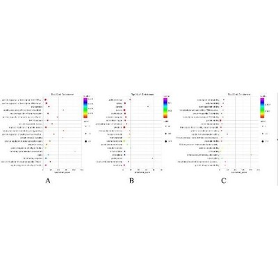 生信分析网络药理学孟德尔随机化MR实验外包火山图绘制