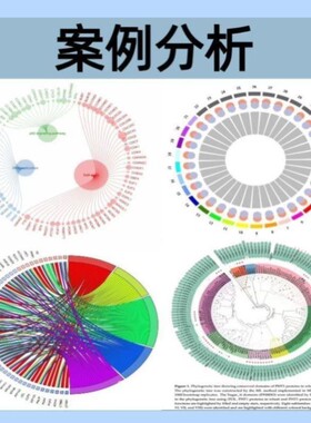 RNAseq转录组生信分析miRNA/lincRNA/circRNA个性化作图RNA-seq