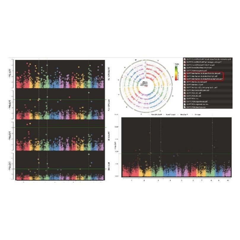 GWAS 孟德尔随机化 meta 共定位 SMR教学和代做