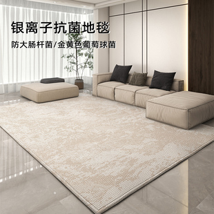 抑菌地毯客厅轻奢高级u环保抽象简约沙发茶几垫子家用卧室新 意式