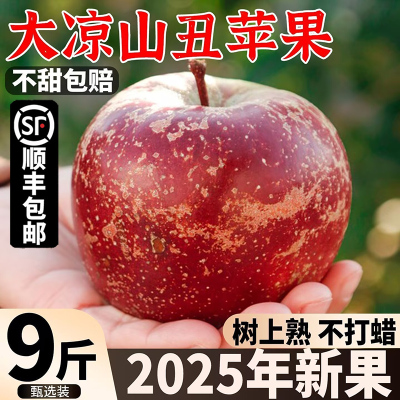 大凉山丑苹果新鲜水果当季整箱四川盐源红富士冰糖心苹果力荐A