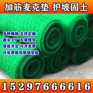 海南加筋麦克垫聚丙烯河道护坡生态绿化生态修复三维植被网固土植