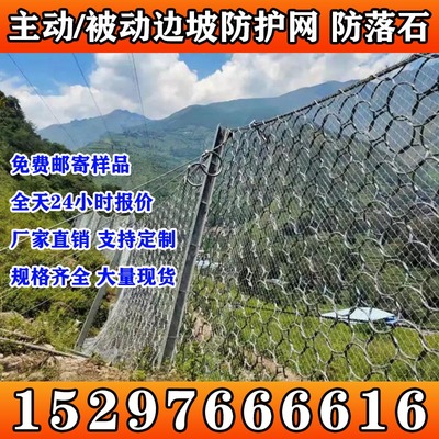 若渝主动被动边坡防护网源头厂家