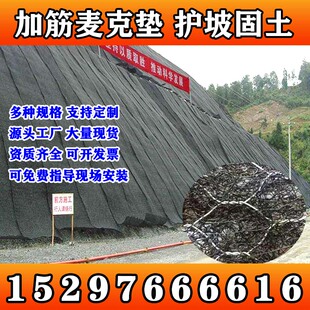加筋麦克垫聚丙烯河道护坡生态绿化生态修复三维植被网固土植生垫