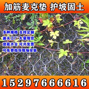 重庆加筋麦克垫河道护土聚丙烯河道护坡生态绿化三维植被网固土植