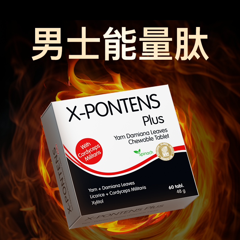 桿ô  ڶX-PONTENS ߽׸Ԫʿʵ8.8Ԫ