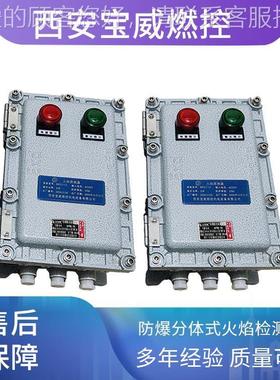 BFWZ-1BWFZJ-1KF退炉火焰检火测J器