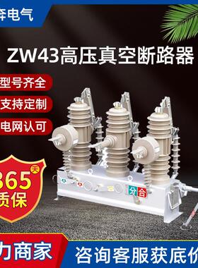 ZW43-12/630小型化户外高压真空断路器10KV隔离刀闸智能柱上开关