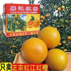 正宗廉江红橙红江橙特产10斤装橙手剥薄皮甜橙红江橙新鲜农场水果