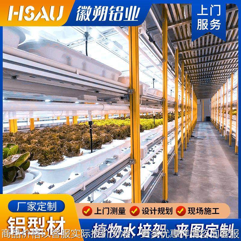 厂家定制水培架 植物工厂蔬菜草莓立体温室组培架水培架 来图定制,农机/农具/农膜,智能温室设备,淘宝优惠券,粉丝福利购,淘宝优惠卷