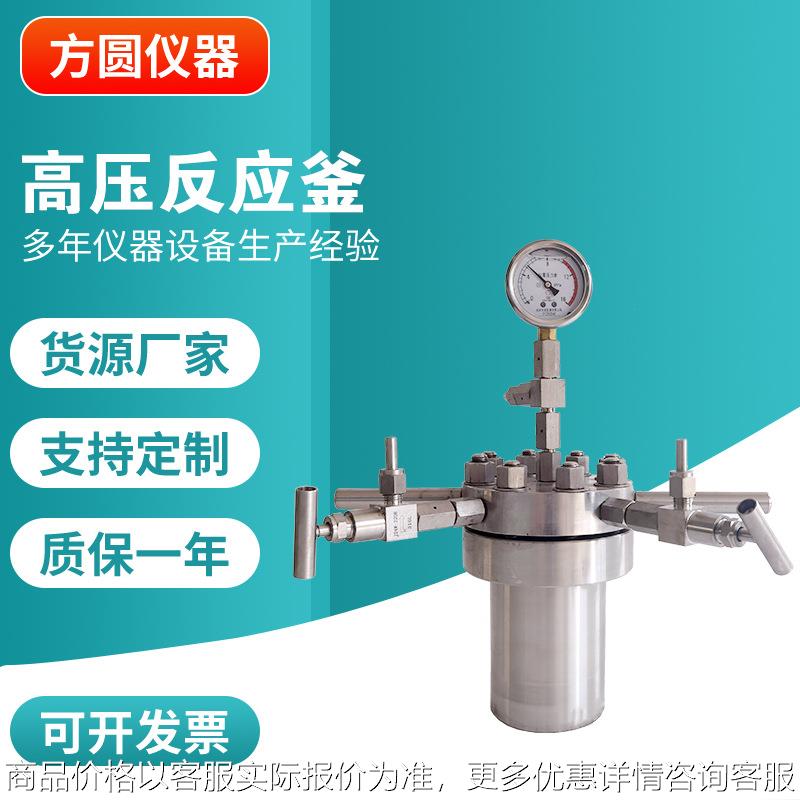小型高温高压反应釜 不锈钢微型磁力搅拌反应器 加热套高压反应釜