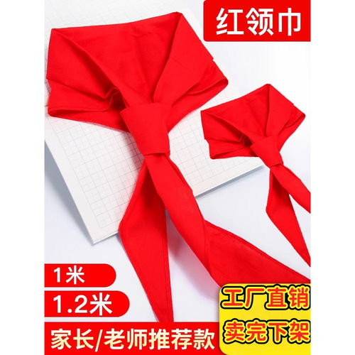 红领巾少先队员小学生通用